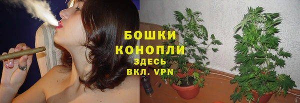эйфоретик Богородицк