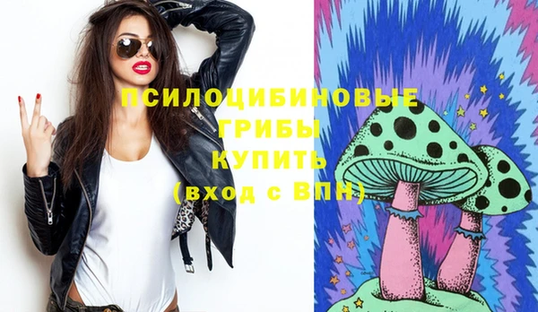дурь Богданович
