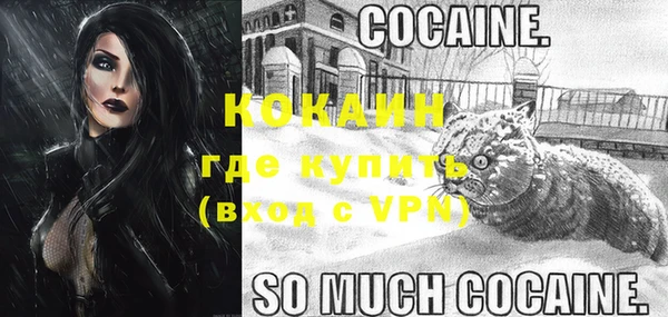 дурь Богданович