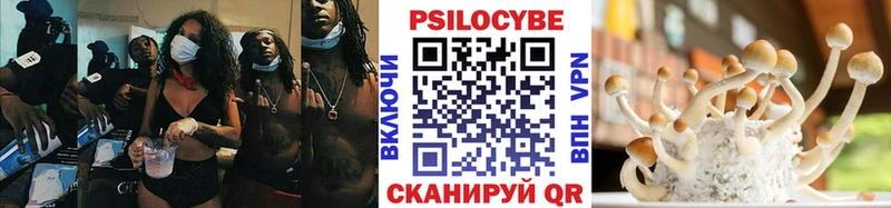 Галлюциногенные грибы MAGIC MUSHROOMS  Малая Вишера 